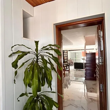 Con Piscina Privada Palmeras *